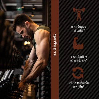 Ozmolts Mass Gainer Powder เวย์โปรตีน เพิ่มน้ำหนัก เหมาะสำหรับผู้ที่ออกกำลังกา เพิ่มความอิ่ม Chocolate 2LB