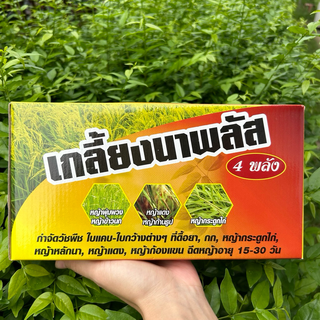 เกลี้ยงนาพลัสชุดเล็ก