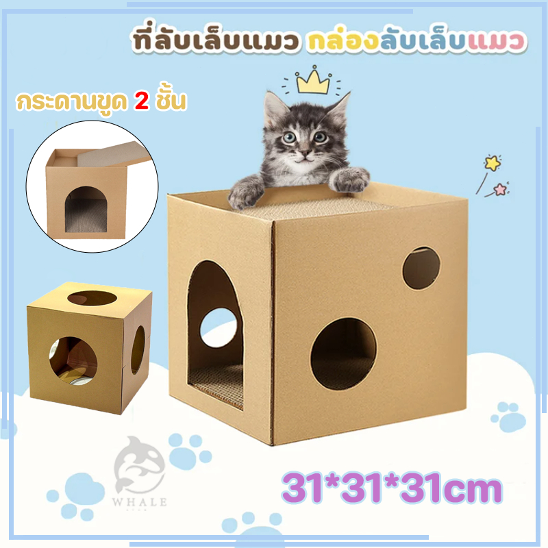 บ้านลับเล็บแมว กล่องแมว บ้านแมว ที่ฝนเล็บแมว บ้านแมวกระดาษ ที่นอนแมว คอนโดแมว ที่ลับเล็บแมว ของใช้แมว ของเล่นแมว แมว