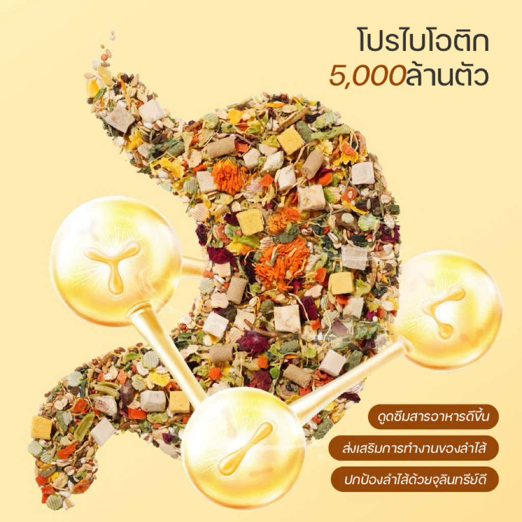 [Rodizoo] อาหารสูตรฟรีซดราย5ชนิด500g. อาหารแฮมสเตอร์ทุกสายพันธุ์ ไจแอนท์ แคระ แฟตเทล ดอร์เม้า สัตว์เลี้ยงขนาดเล็ก ราคา ถูกที่สุด ดีลบีเคเค แกลเลอรีภาพที่ 4