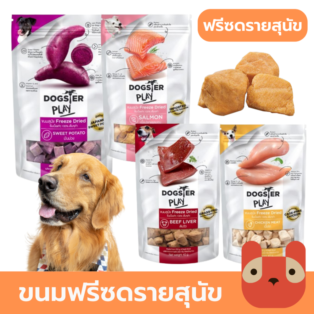 Dogster Play ขนมสุนัข Freeze Dried ชิ้นเนื้อแท้ ไม่ใส่เกลือ ขนาด 40 กรัม