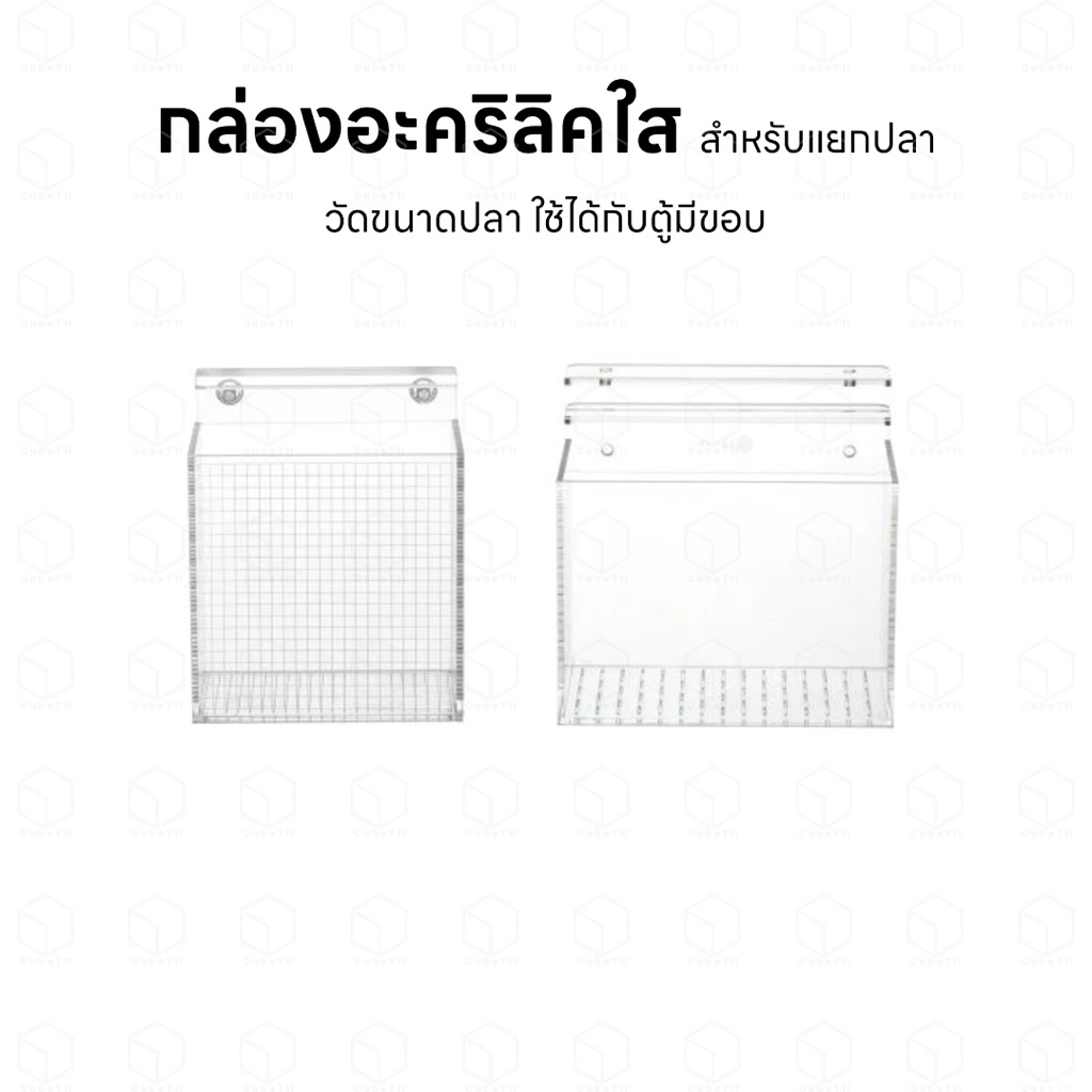 EBI-VN กล่องอะคริลิคใสสำหรับแยกปลา พักปลา วัดขนาดปลา