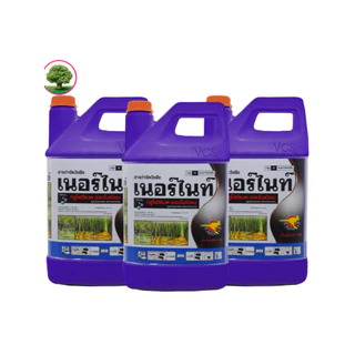 กลูโฟซิเนต-แอมโมเนียมขนาด 4 ลิตร จิงโจ้ทอง เนอร์ไนท์สีม่วง 3แกลลอนกำจัดวัชพืชหลังงอกแบบไม่เลือกทำลาย