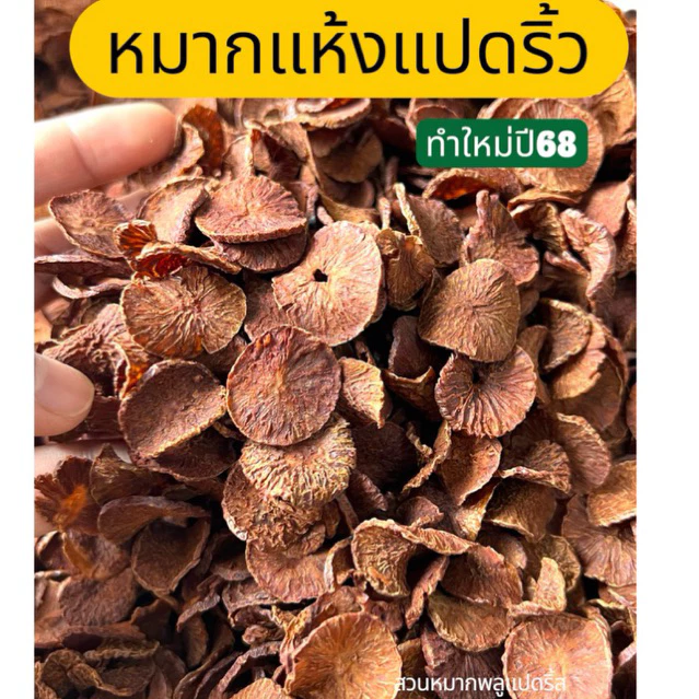 หมากแห้ง 1กิโลกรัม ส่งไว หมากแปดริ้ว หมากแห้งใหม่ หมากแห้งสวน หมากแว่น อิแปะ หมากกลีบส้ม หมากซอย