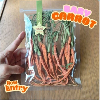 caycay dried carrot แครอทอบเเห้งสำหรับกระต่าย ชินชิล่า เเกสบี้ว