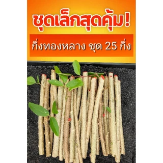 ชุดเล็กสุดคุ้ม! กิ่งทองหลางก้านแดง ชุด 25 กิ่ง