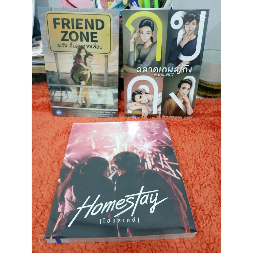(ลด70%) HOMESTAY Photobook ,Friend Zone ระวังสิ้นสุดทางเพื่อน ,Bad Genius ฉลาดเกมส์โกง ,GTH ,ตำหนิขีดสัน หนังสือมือหนึ่ง