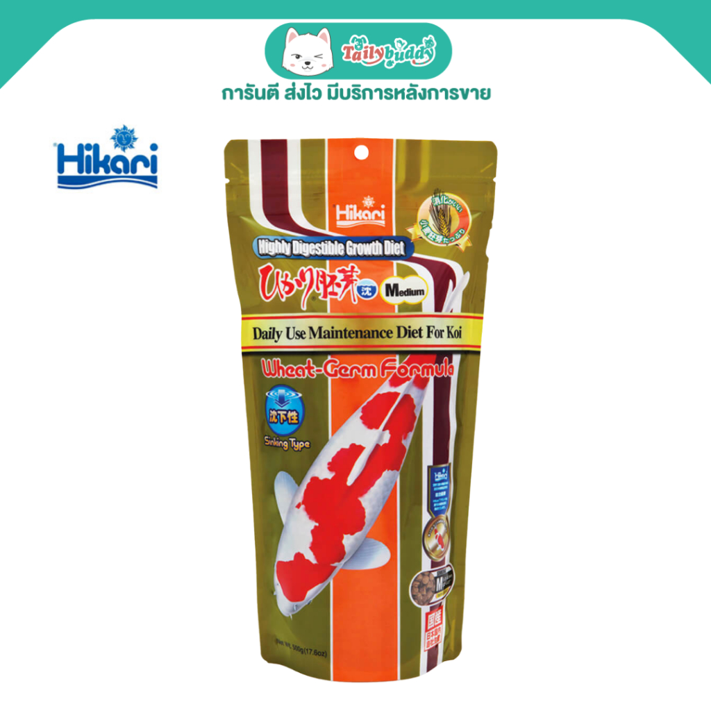 อายุยาวปี 2026 ! Hikari Sinking Wheat-Germ อาหารปลาคาร์ฟ ผสมจมูกข้าวสาลี วิตามินสูง แบบจม (เม็ดกลาง)