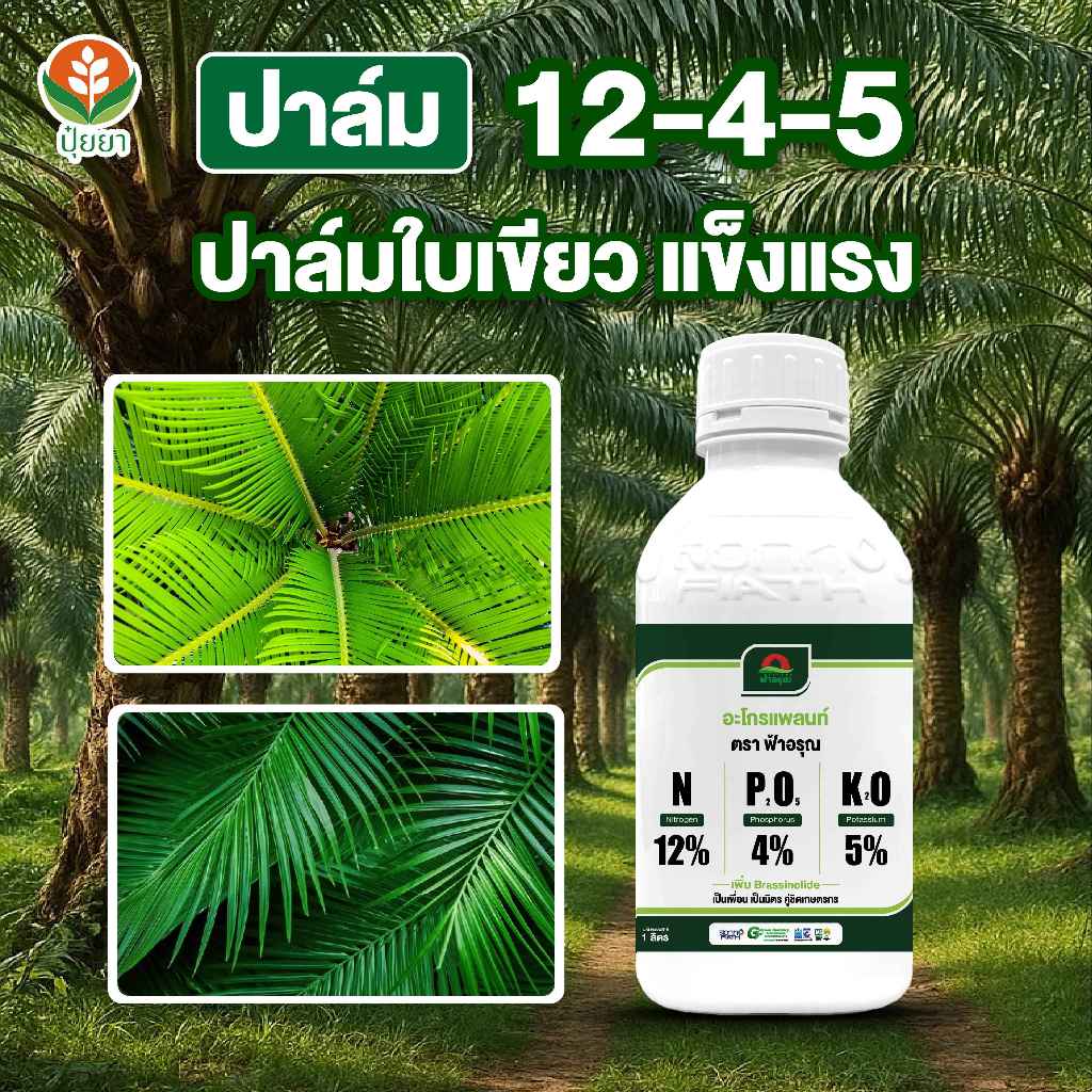 เร่งใบเขียว ขยายยอด ลำต้นอวบ เพิ่มการสังเคราะห์แสง ต้นฟื้นไว ใบไม่หงิก ใบเขียวสวยตลอดปี 12-4-5 สูตรบำรุงใบที่สวนปาล์มใช้