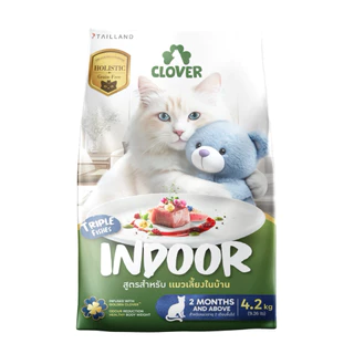 🐱🍀 Clover - Indoor (Triple fish) 4.2 kg 🐟