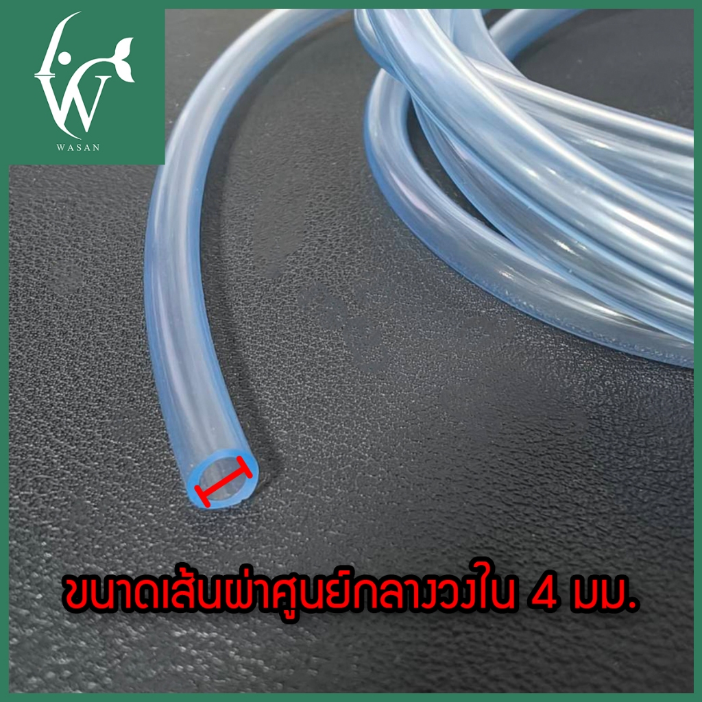 รูปภาพ 6