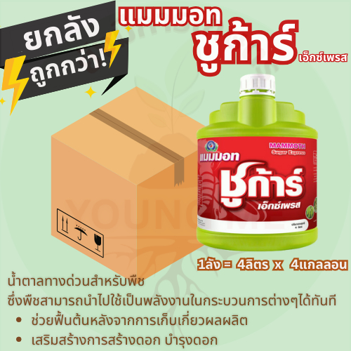 แมมมอท ชูก้าร์ เอ็กซ์เพรส 4ลิตรx4แกลลอน(ยกลัง) เทพวัฒนา ตราปลาคู่