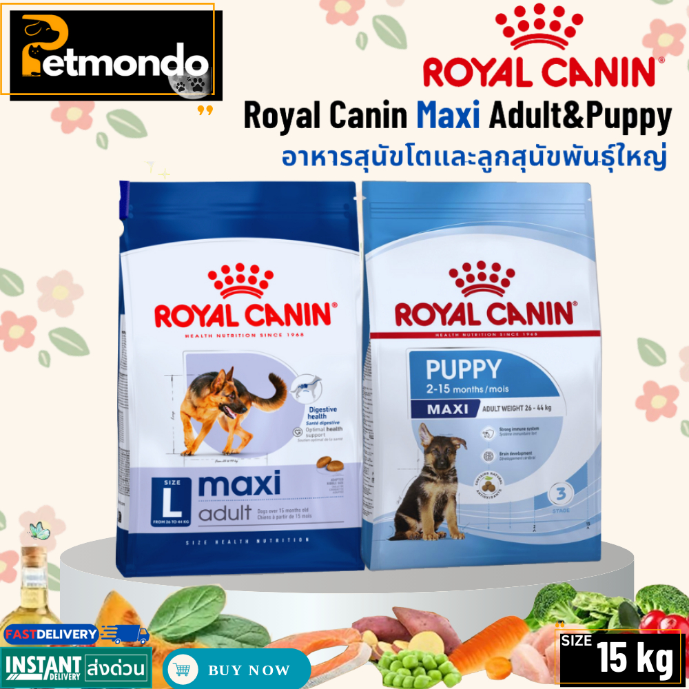 Royal Canin Maxi Adult 5+ โรยัล คานิน อาหารสุนัขแบบเม็ด สำหรับสุนัขโตพันธุ์ใหญ่ อายุ 5 ปีขึ้นไป ขนาด 15 kg.