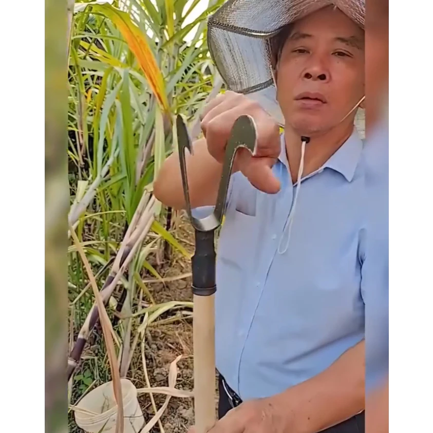 มีดสางอ้อยสแตนเลส thumbnail 8