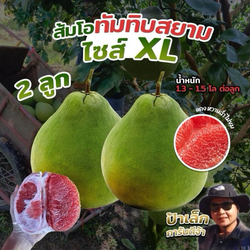ส้มโอทับทิมสยามปากพนัง ไซส์ XL  2ลูก  น้ำหนัก 1.3- 1.5 กก./ต่อลูก จากสวนป้าเล็กขี้ลืม