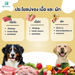 【PET RECORD】🥇 อาหารกระป๋องสุนัข อาหารเปียก เนื้อแท้ 100% โปรตีนสูง ปราศจากธัญพืช ทุกสายพันธุ์ 430g 🐶
