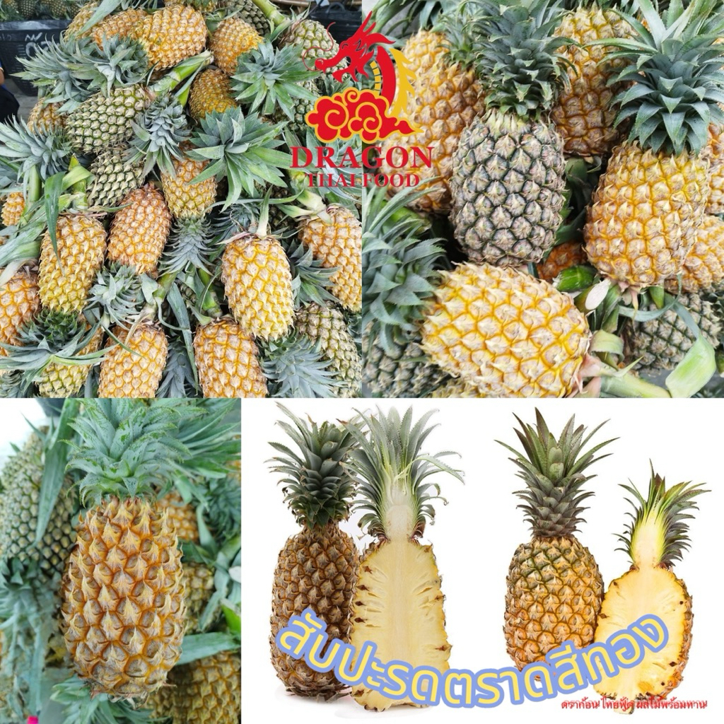 🍍 สับปะรดตราดสีทอง เซ็ต3ลูก เป็นพันธุ์สับปะรดที่มีชื่อเสียงของจังหวัดตราด