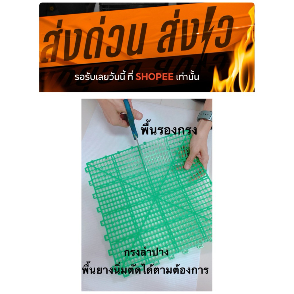 แผ่นรองกรงสัตว์แรกคลอด