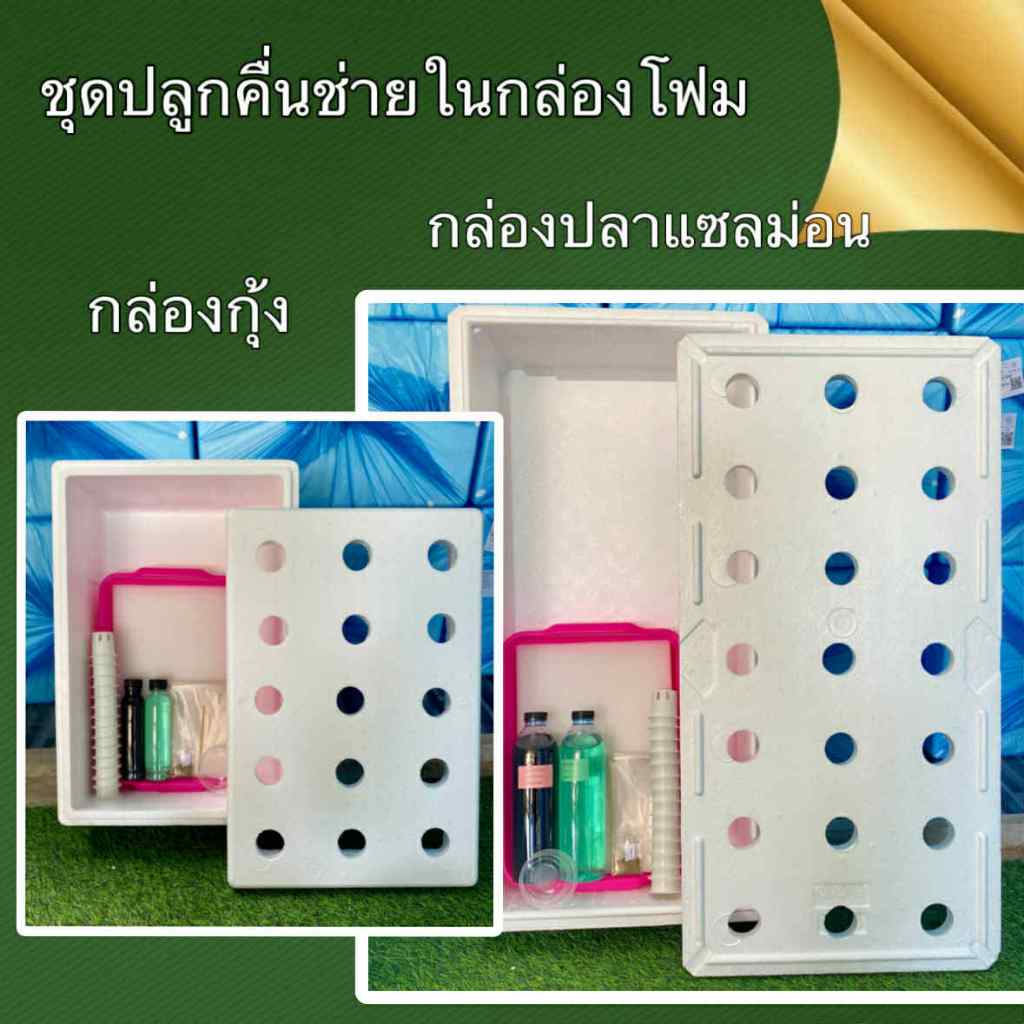 ชุดปลูกคื่นฉ่ายในกล่องโฟม อุปกรณ์ครบพร้อมปลูก ปลูกง่าย ได้ผลผลิตดี -เกษตรกรรมยั่งยืน