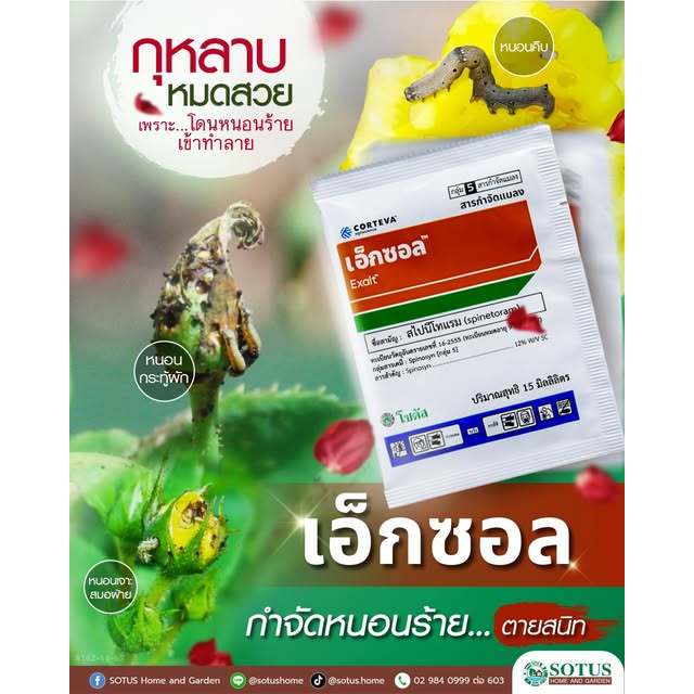 เอ็กซอล แบบซอง จุดจบของหนอนร้าย และเพลี้ยไฟดื้อยา โซตัส PESTICIDE