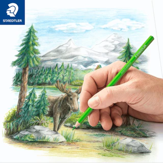 Staedtler ชุดดินสอสีไม้ รุ่น 143 สีไม้พิกเม้นท์สูง ไม่เปราะ และหักง่าย Colour Pencil Set สเต็ตเร่อ สีไม้ ลายหมี