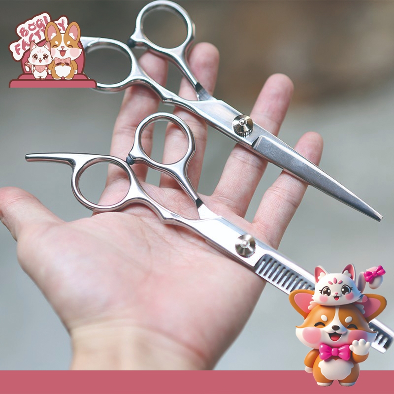 Boqi Factory กรรไกรตัดขน/กรรไกรซอยขนสุนัข Scissors