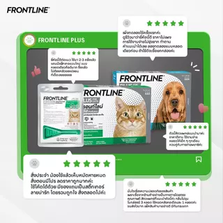 FRONTLINE PLUS DOG Size M (10-20 kg) ฟรอนท์ไลน์ พลัส ยาหยดกำจัดเห็บหมัด สำหรับสุนัข น้ำหนัก 10-20 กก