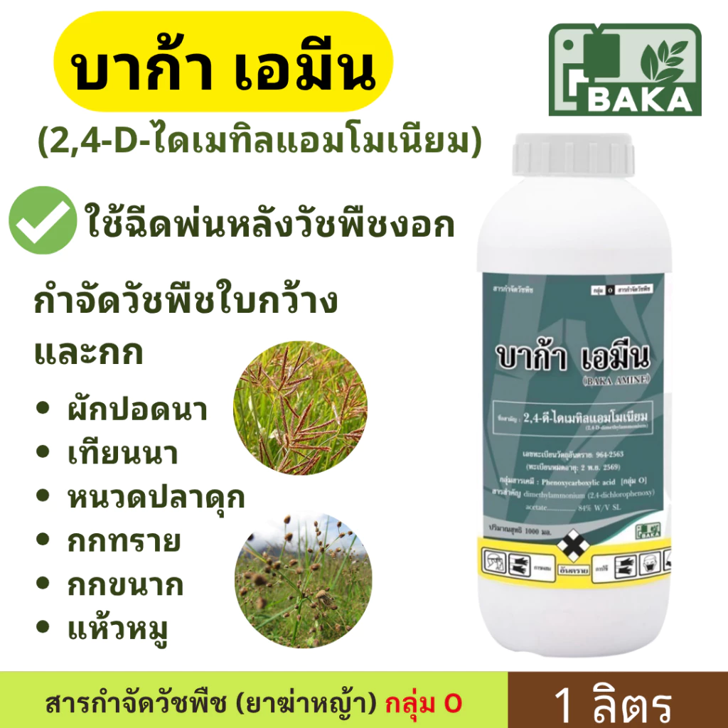 บาก้าเอมีน (1ลิตร) 2,4ดี ไดเมทิลแอมโมเนียม สารกำจัดวัชพืชใบกว้าง ผักปอดนา เทียนนา โสนหางไก่ แห้วหมู