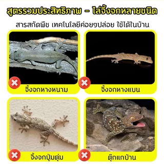 ฆ่าจิ้งจกในบ้าน ยาฆ่าจิ้งจก ยาฆ่าตุ๊กแก สูตรอัปเกรด แบบเหยื่อ กำจัดจนหมด ปลอดภัยกับสัตว์เลี้ยง ไม่มีตุ๊กแกทั่วบ้าน
