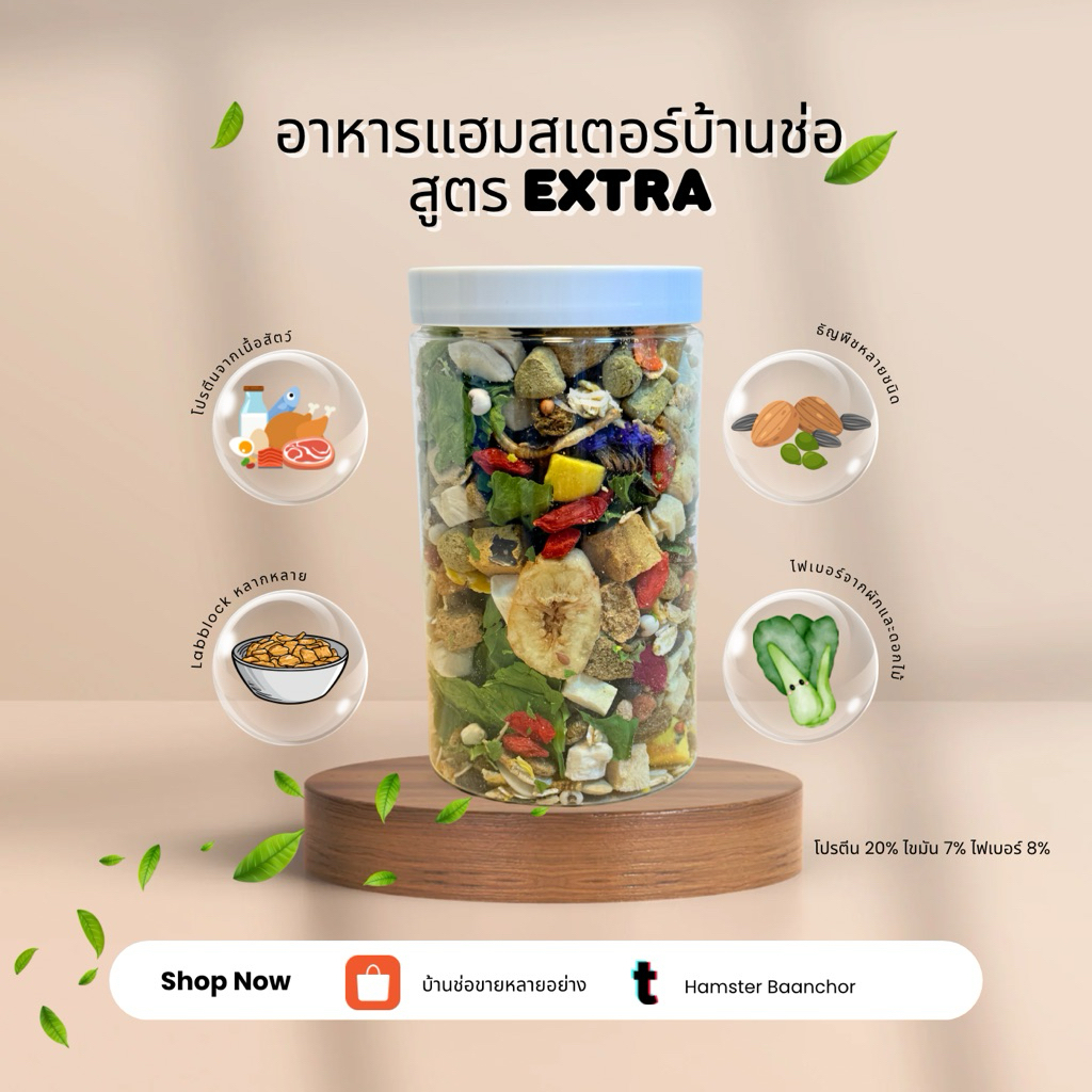 อาหารบ้านช่อ สูตร Extra [เน้น Lab Blocks]