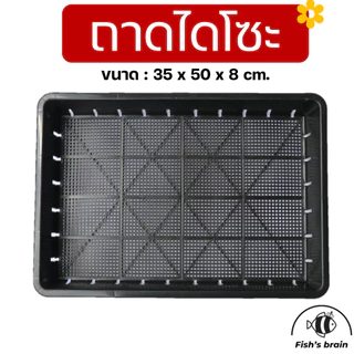 ถาดไดโซะ ถาดเพาะกล้า ถาดเพาะชำ แบบทึบ แบบเจาะรู
