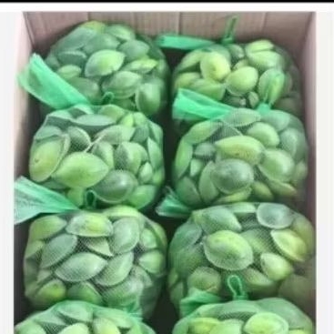 ผลหูกวาง/รูปกวางดิบเก็บสดบรรจุ 500/1,000 กรัม ราคาถูก Shopee Lazada