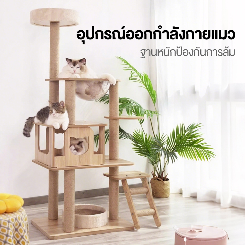 คอนโดแมวหลังใหญ่หลายดีไซน์ ไม้สวยไร้เหลี่ยมคม คอนโดไม้ รูปที่ 8