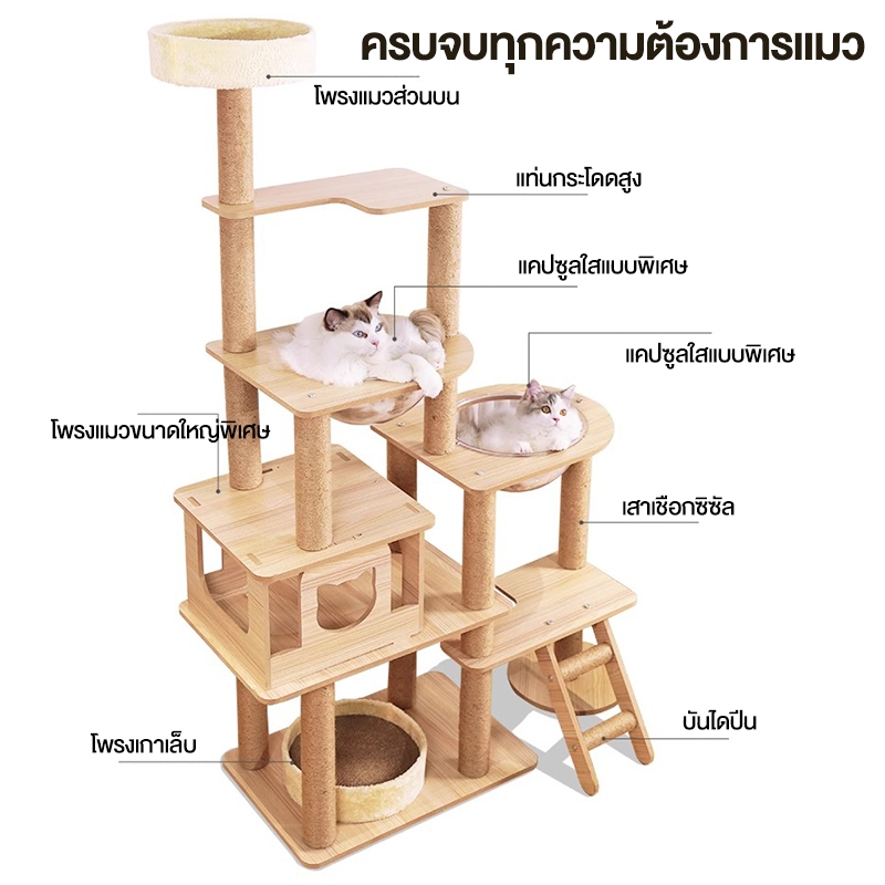 คอนโดแมวหลังใหญ่หลายดีไซน์ ไม้สวยไร้เหลี่ยมคม คอนโดไม้ รูปที่ 3