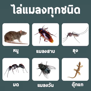 🐍50 ปีไม่มีงู ยาป้องกันงู ยาไล่งู 1 เม็ดใช้ได้ 3 ปี กํามะถันไล่งู ไม่มีสารเคมี ที่ไล่งู ปลอดภัย ใช้ง่าย ก้อนไล่งู