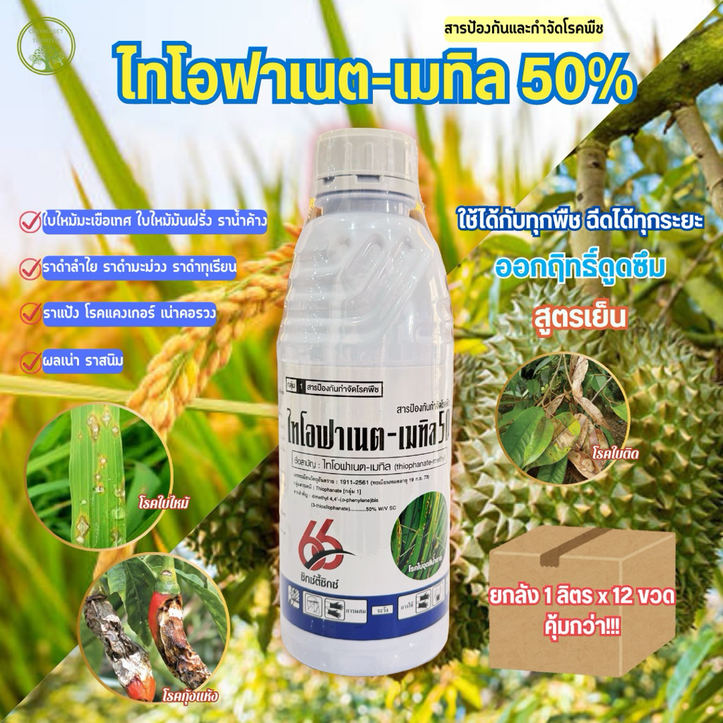 (ยกลัง)ไทโอฟาเนต-เมทิล 1ลิตร ป้องกันกำจัดเชื้อราใบไหม้ ใบจุด ราน้ำค้าง ราเข้าขั้ว ข้าว พืชผัก/ไร่