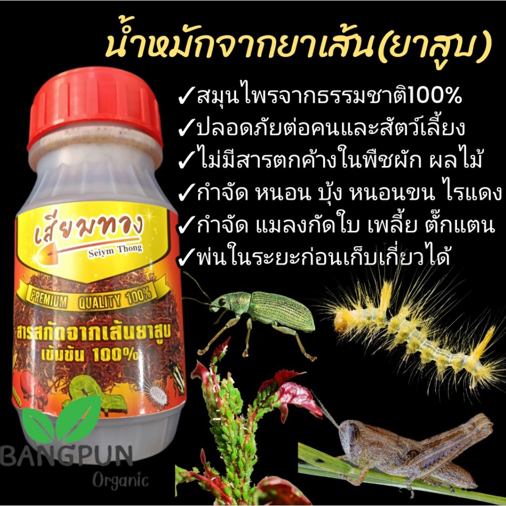 สมุนไพรกำจัดหนอนและแมลง (เสียมทอง/250มล.) น้ำหมักยาเส้นกำจัดแมลง ปลอดภัยต่อคนและสัตว์เลี้ยง