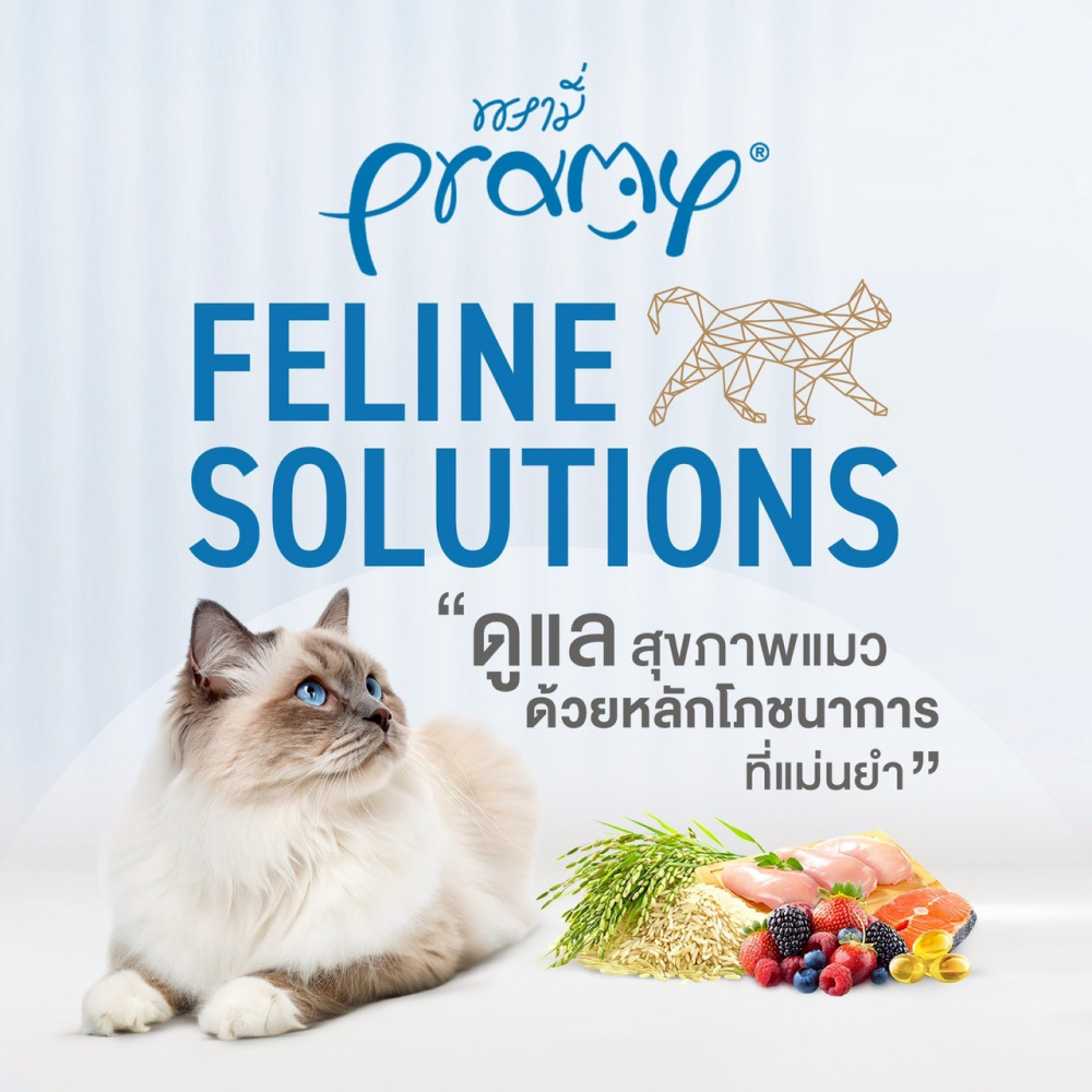 2.3 กิโลกรัม Pramy Feline Solutions อาหารแมวแมวโต บำรุงขนและผิวหนัง