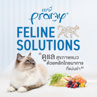 [ไซส์คุ้ม] Pramy Feline Solutions Care อาหารแมว พรามี่ แมวโต สูตร บำรุงขน ลดขนร่วง / ระบบปัสสาวะ / ลดก้อนขน 2.3 กิโล