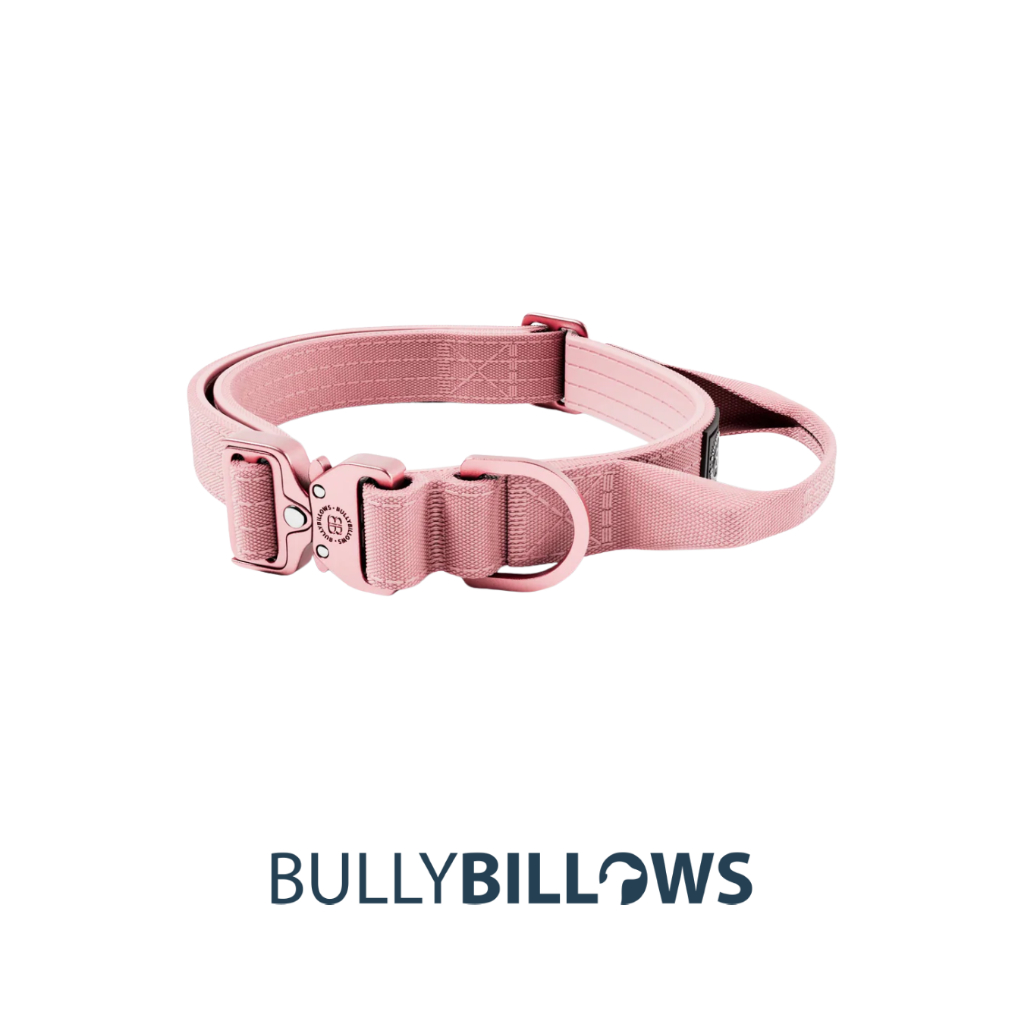 BullyBillows 2.5cm LIGHTER Combat® Collar รูปที่ 4