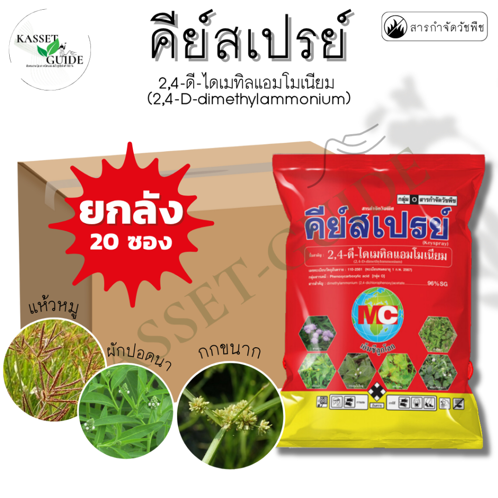 !!!ยกลังถูกกว่า!!! หมาแดงเกล็ด 1kg. (คีย์สเปรย์)