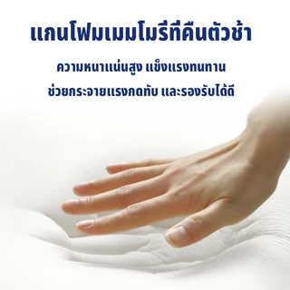 เบาะรองหลัง เบาะรองหลังเพื่อสุขภาพ บรรเทาอาการปวดหลัง ออฟฟิศซินโดรม เมมโมรี่โฟมแท้ 100% ไม่ยุบตัว Cushion