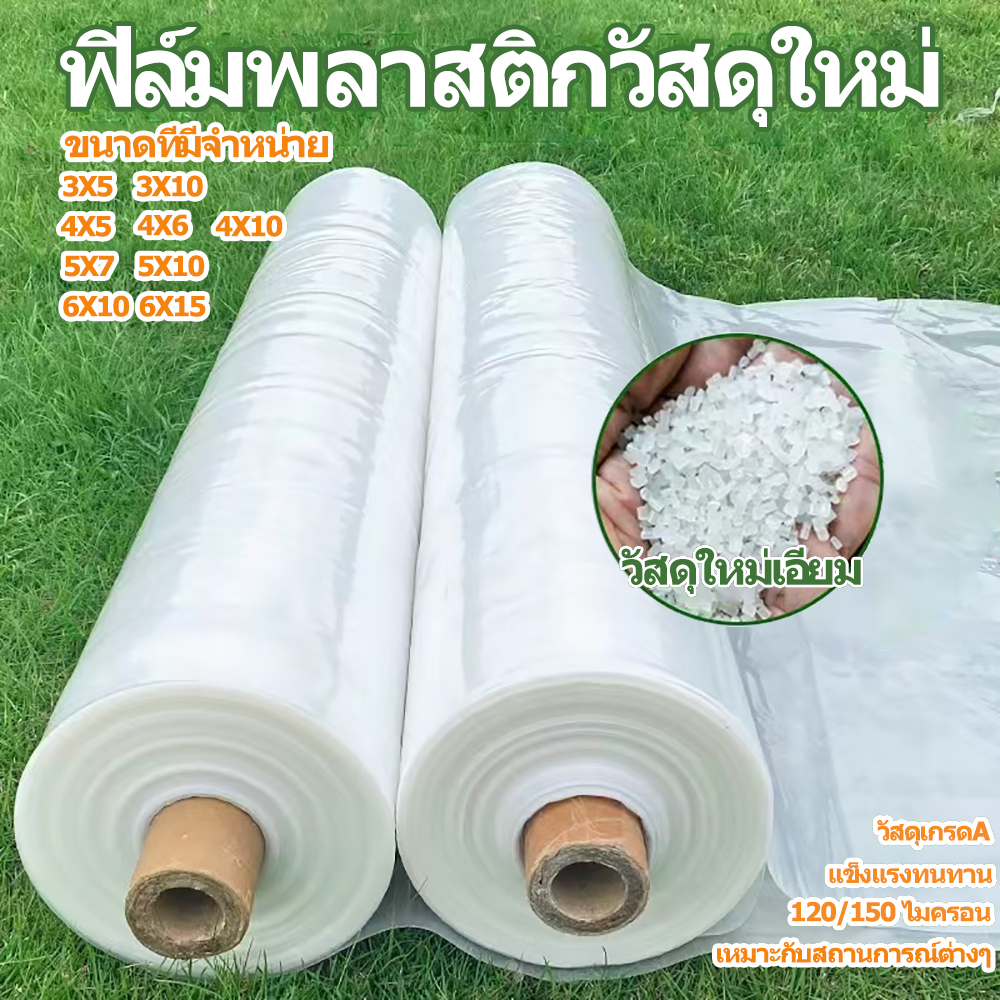Daily Gold เมตร หนา 120/150 ไมครอน กันรังสี UV ได้ถึง 7% กันแดด กันลม กันฝน ทนทาน อายุการใช้งานยาวนานไม่ เสียหายง