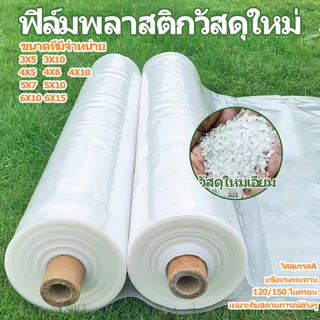 Daily Gold เมตร หนา 120/150 ไมครอน กันรังสี UV ได้ถึง 7% กันแดด กันลม กันฝน ทนทาน อายุการใช้งานยาวนานไม่ เสียหายง