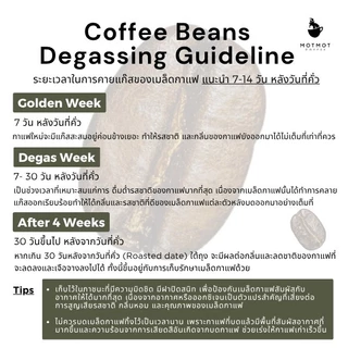Ethiopia Yirgacheffe G2 (Washed) |100g Omni Roasted | เมล็ดกาแฟคั่ว MOTMOT COFFEE