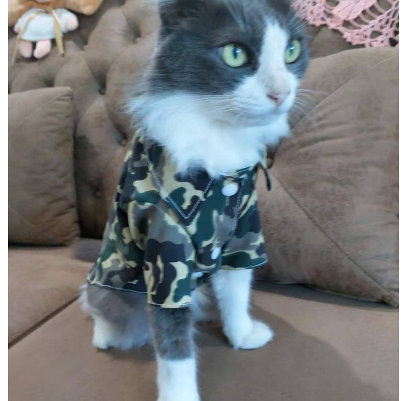 💂ชุดทหารเหมียว  สินค้าพร้อมจัดส่ง😺