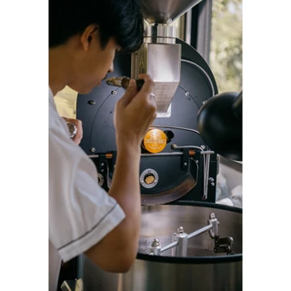 Wonderroom - เมล็ดกาแฟคั่วอ่อน Triple Pack Roaster's Pick 3 ตัว (Light Roast)