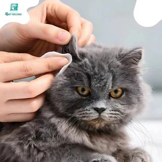 Pet Record แผ่นเช็ดสุนัขและแมว ที่เช็ดตาแมว ตา หู แบบอ่อนโยน สำหรับแมวและสุนัข ทิชชู่เปียกเช็ดคราบน้ำตา บรรจุ 130แผ่น