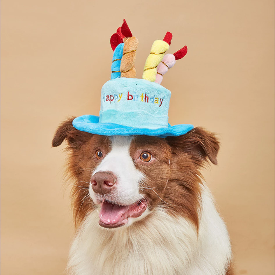 PP-056 หมวกวันเกิดสัตว์เลี้ยง 🎉 หมวก Happy Birthday สำหรับน้องหมา น้องแมว