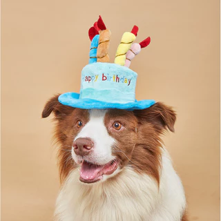 PP-056 หมวกวันเกิดสัตว์เลี้ยง 🎉 หมวก Happy Birthday สำหรับน้องหมา น้องแมว